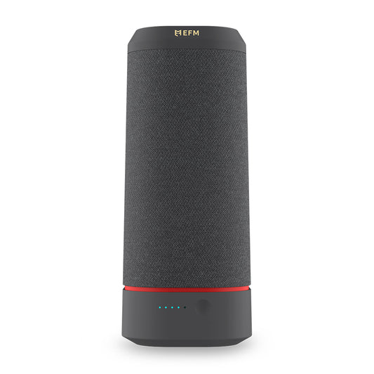 EFM Havana Bluetooth Speaker Premium 20W Speaker Exclusively Engineered by EFM - Phantom Black